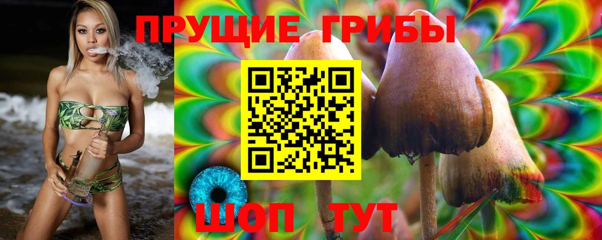 Галлюциногенные грибы MAGIC MUSHROOMS Ликино-Дулёво