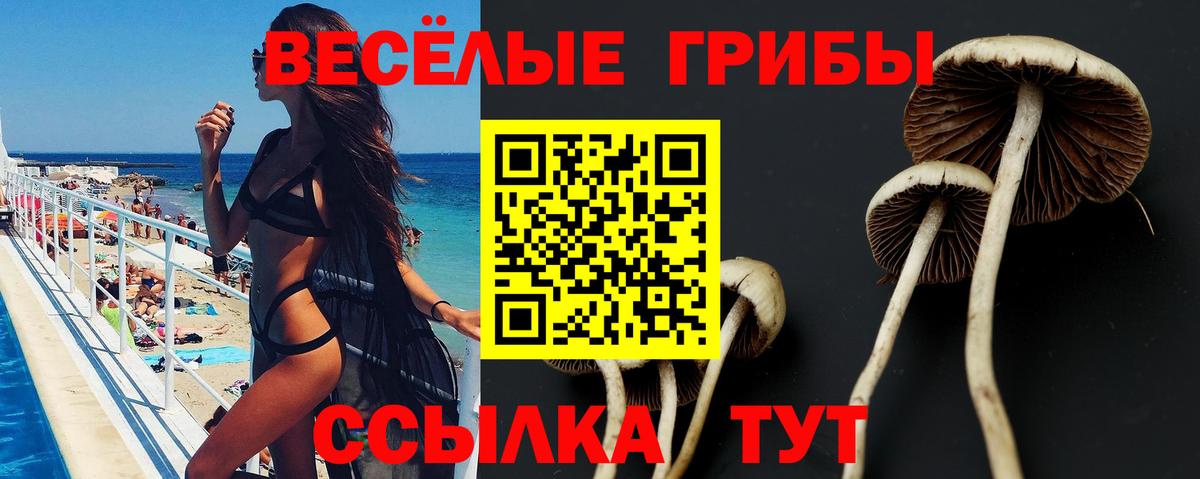 Псилоцибиновые грибы ЛСД  Вход с VPN  Ликино-Дулёво 